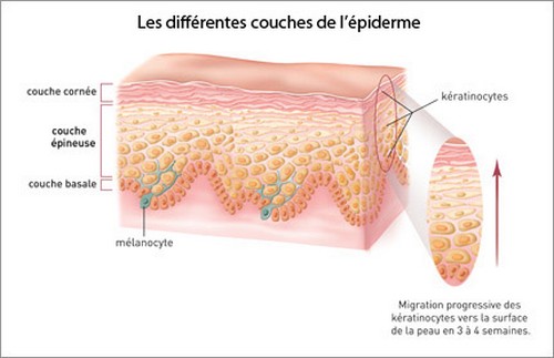 Comme augmenter le membre de la maison par le moyen national
